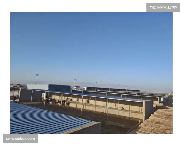 评论：守护者队牛棚使用强度全联盟最高，长局数先发缺失问题凸显